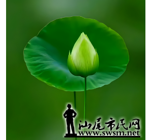 ǣҺðչ
