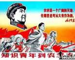 Ľ졫֪ʶɽ硱ȳ