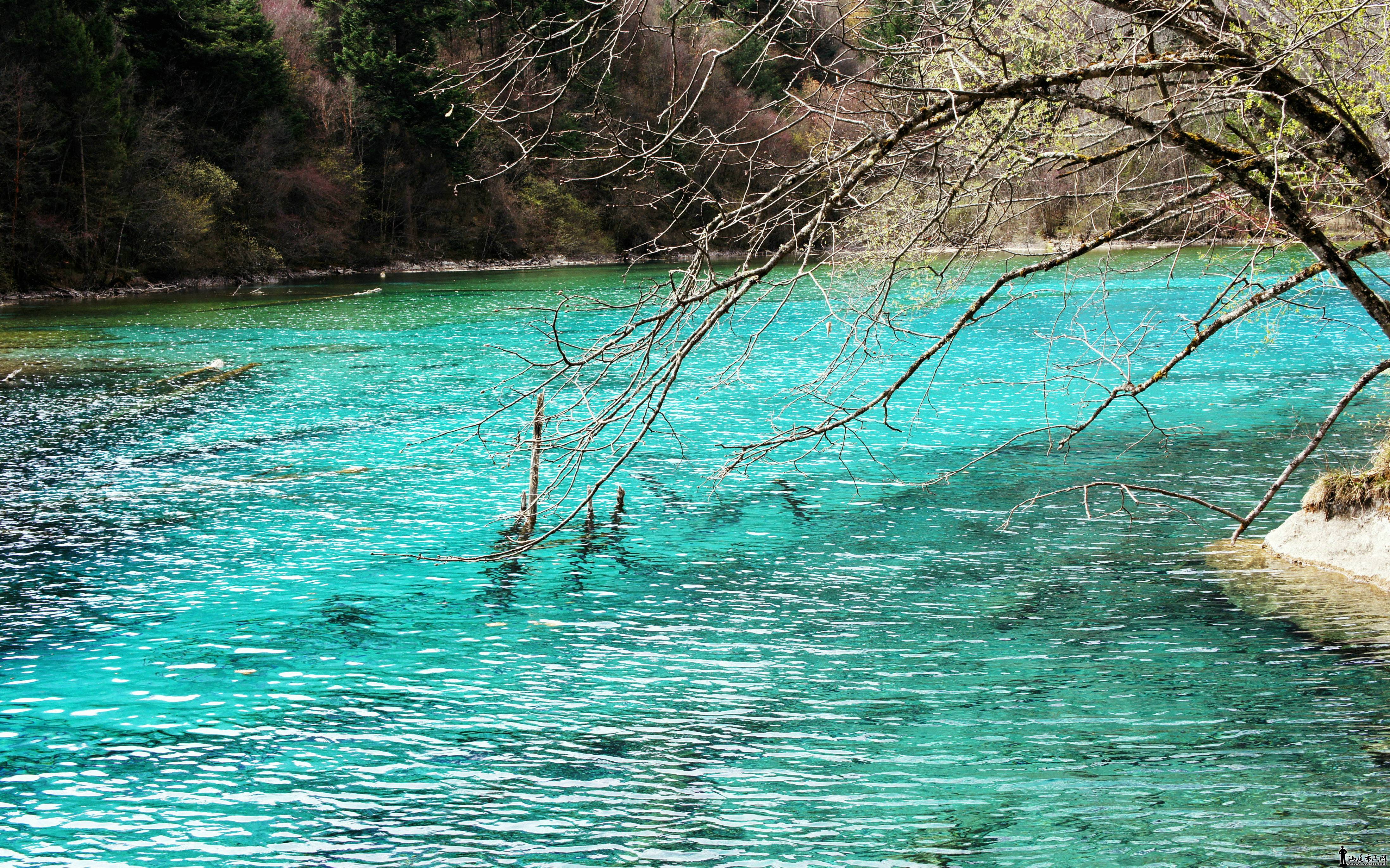 DSC03194 - .JPG