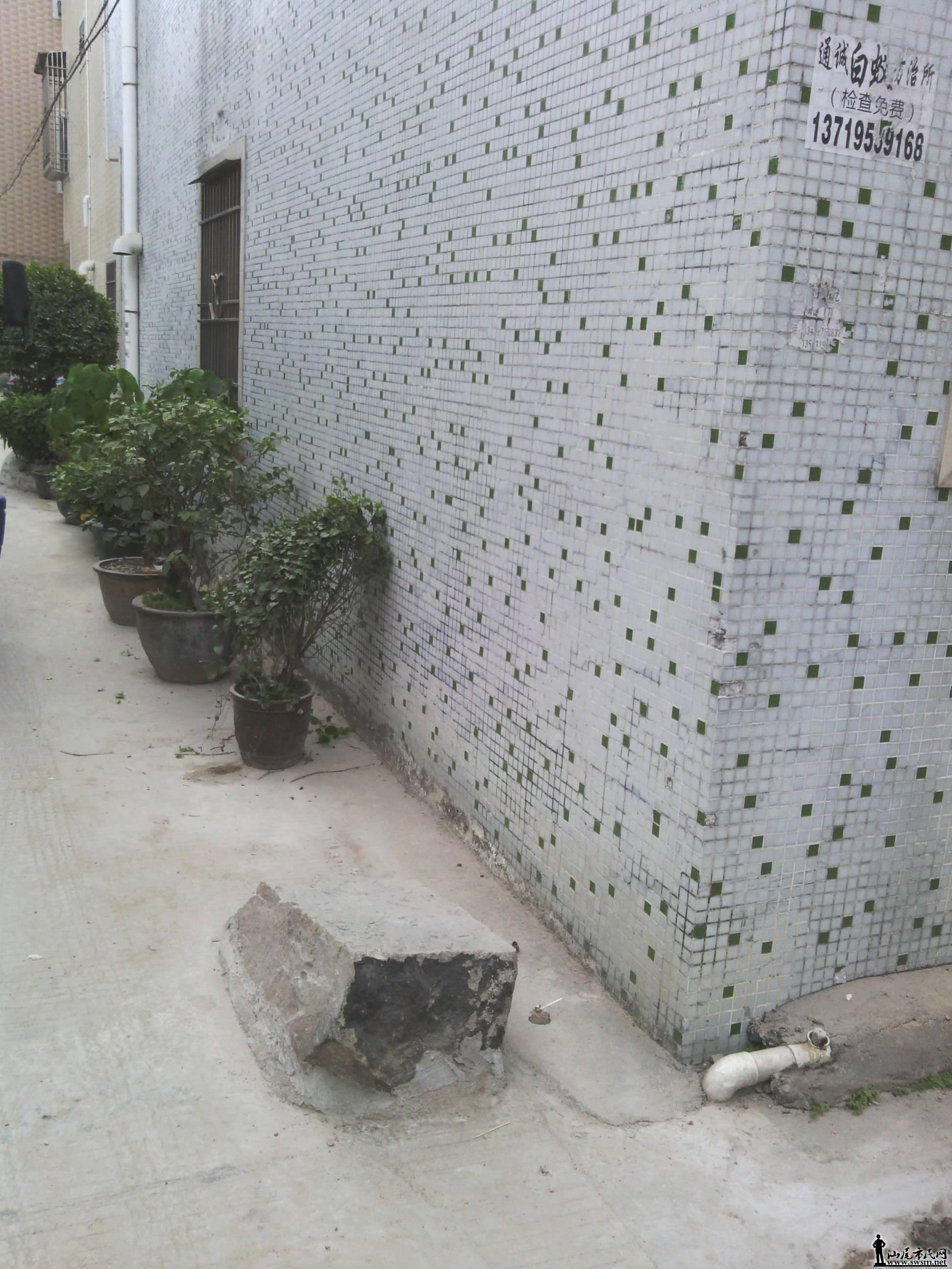 IMG_20131102_121801.jpg
