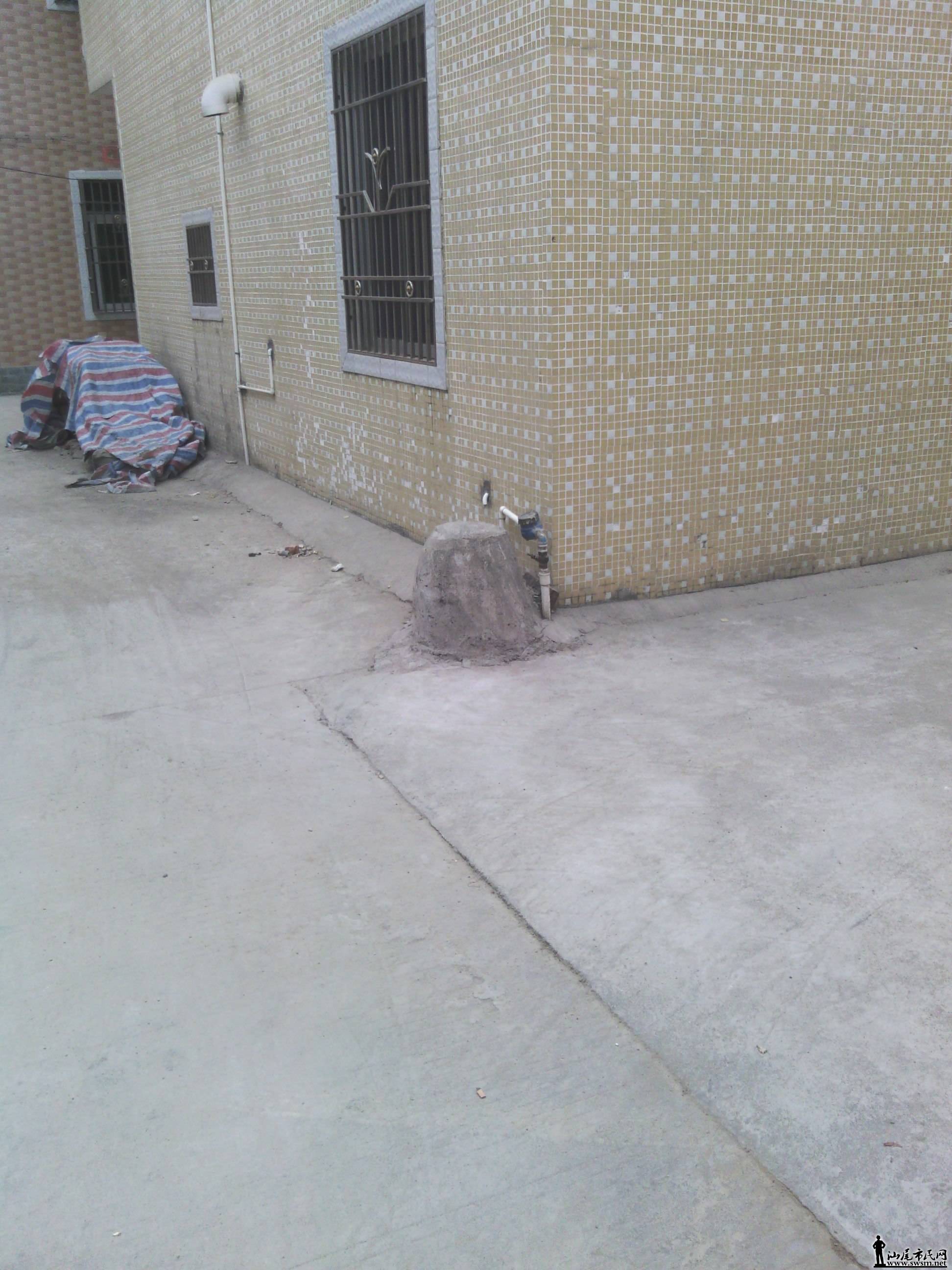 IMG_20131102_122028.jpg