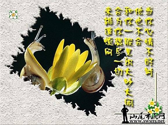 214426kao9oug26wzosv0g.jpg