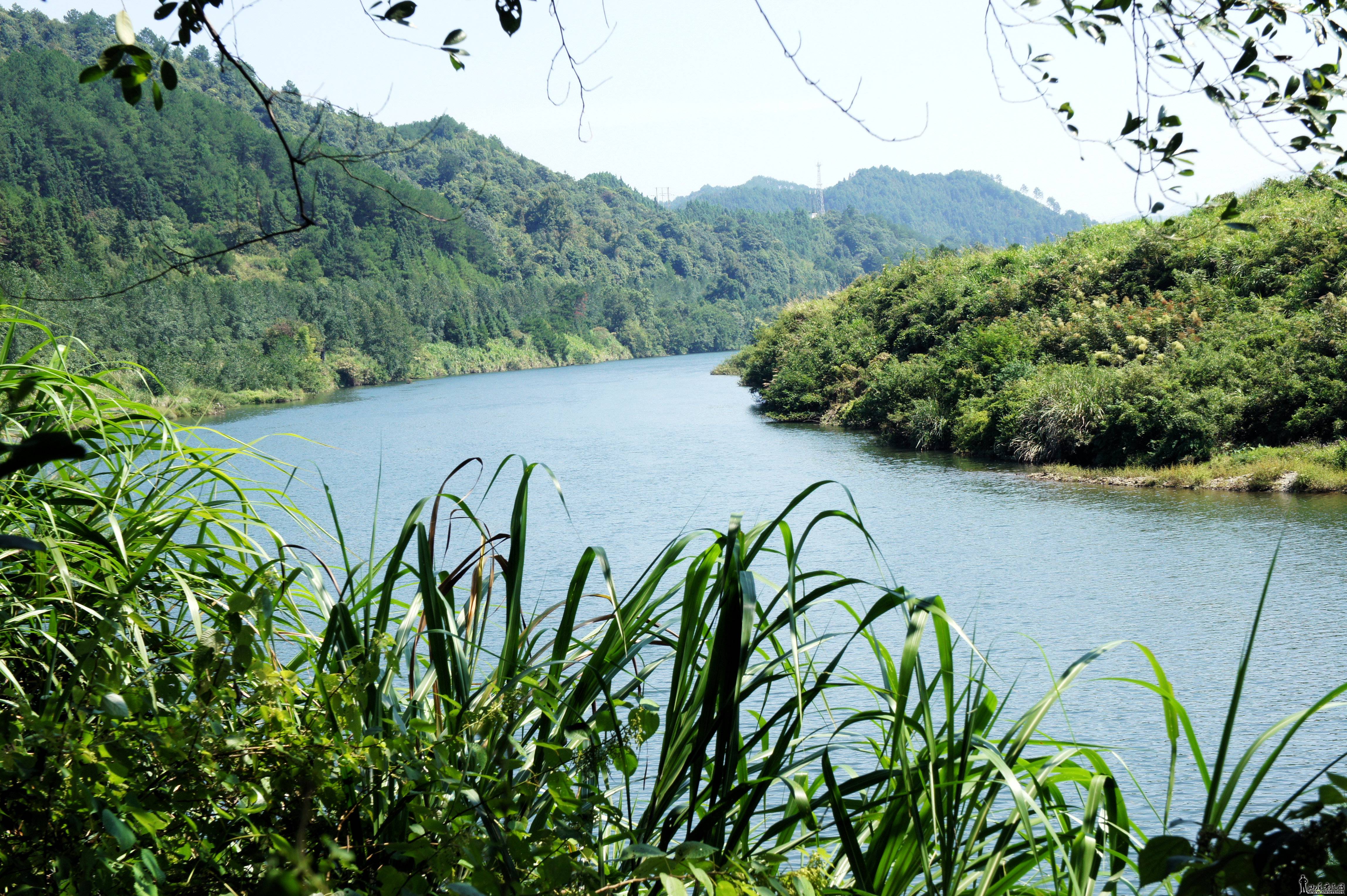 DSC01989_.JPG