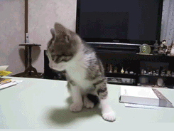 4b16b830jw1eac919emjkg206t054tv5.gif
