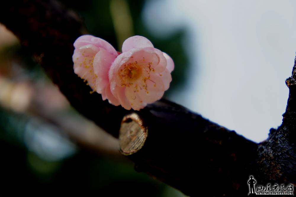 DSC00700.jpg