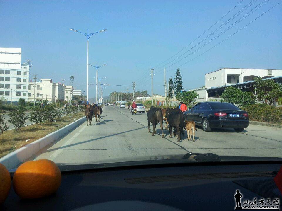 QQͼƬ20140131224044.jpg