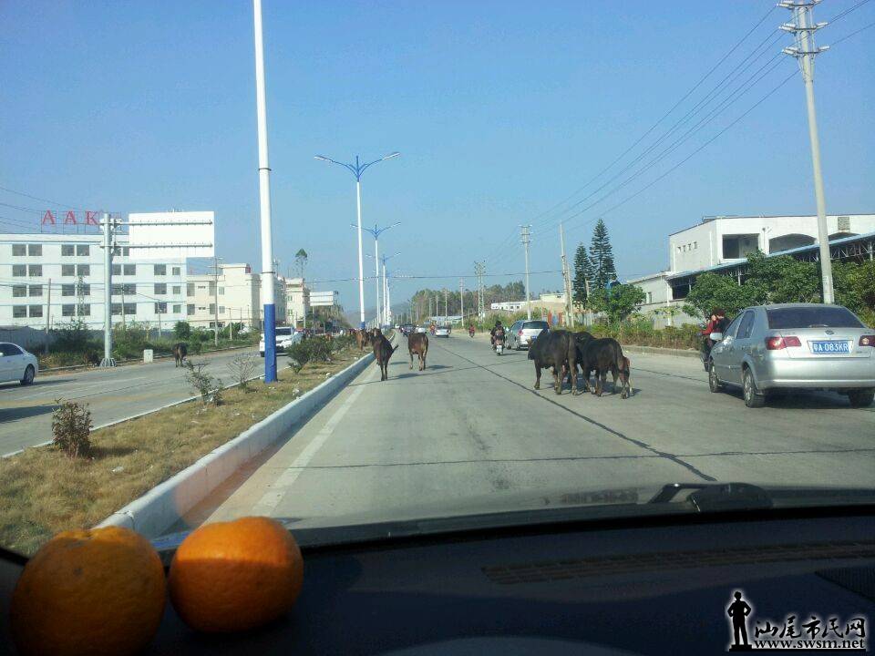 QQͼƬ20140131224057.jpg