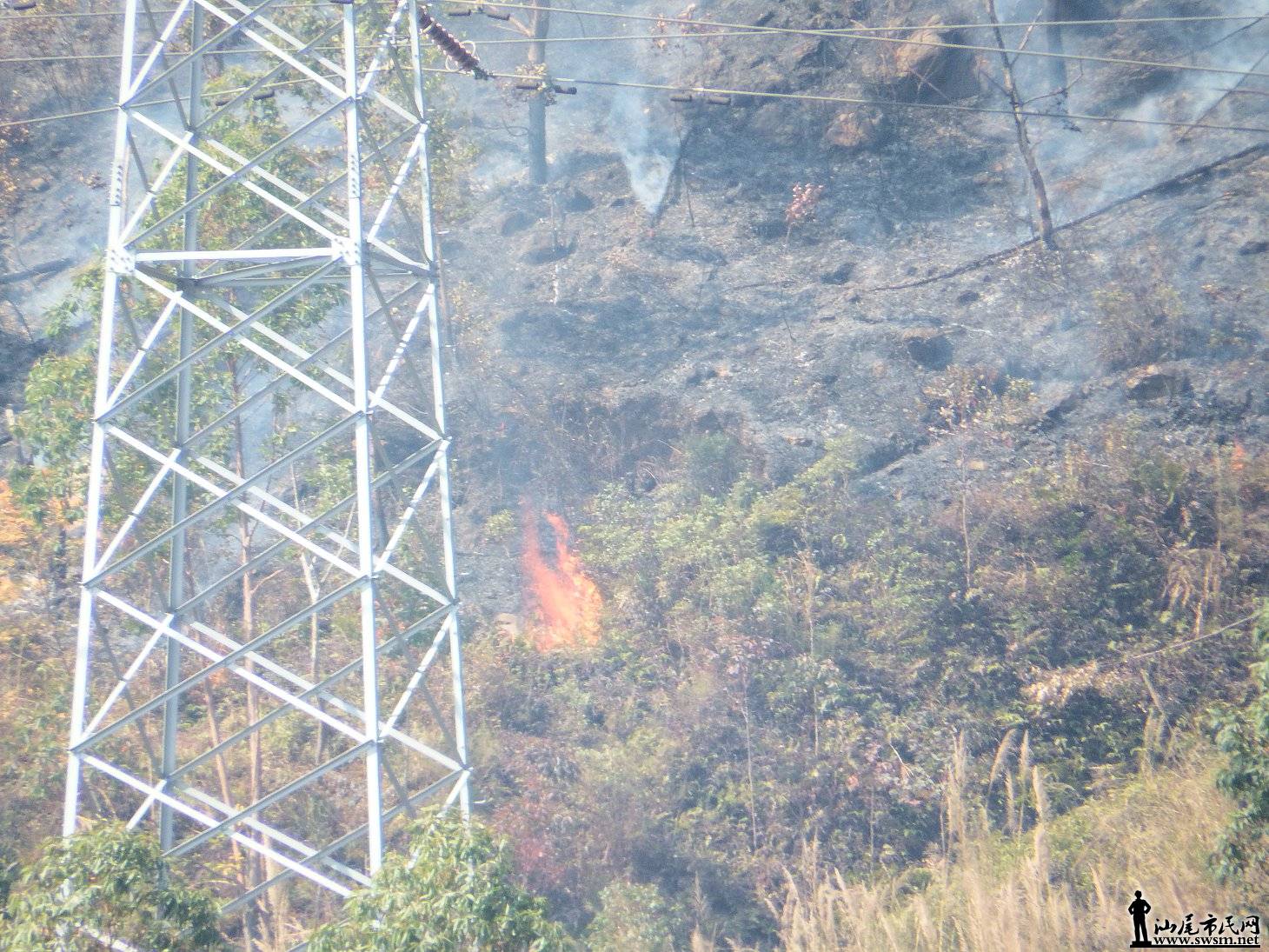 DSCF0906.JPG