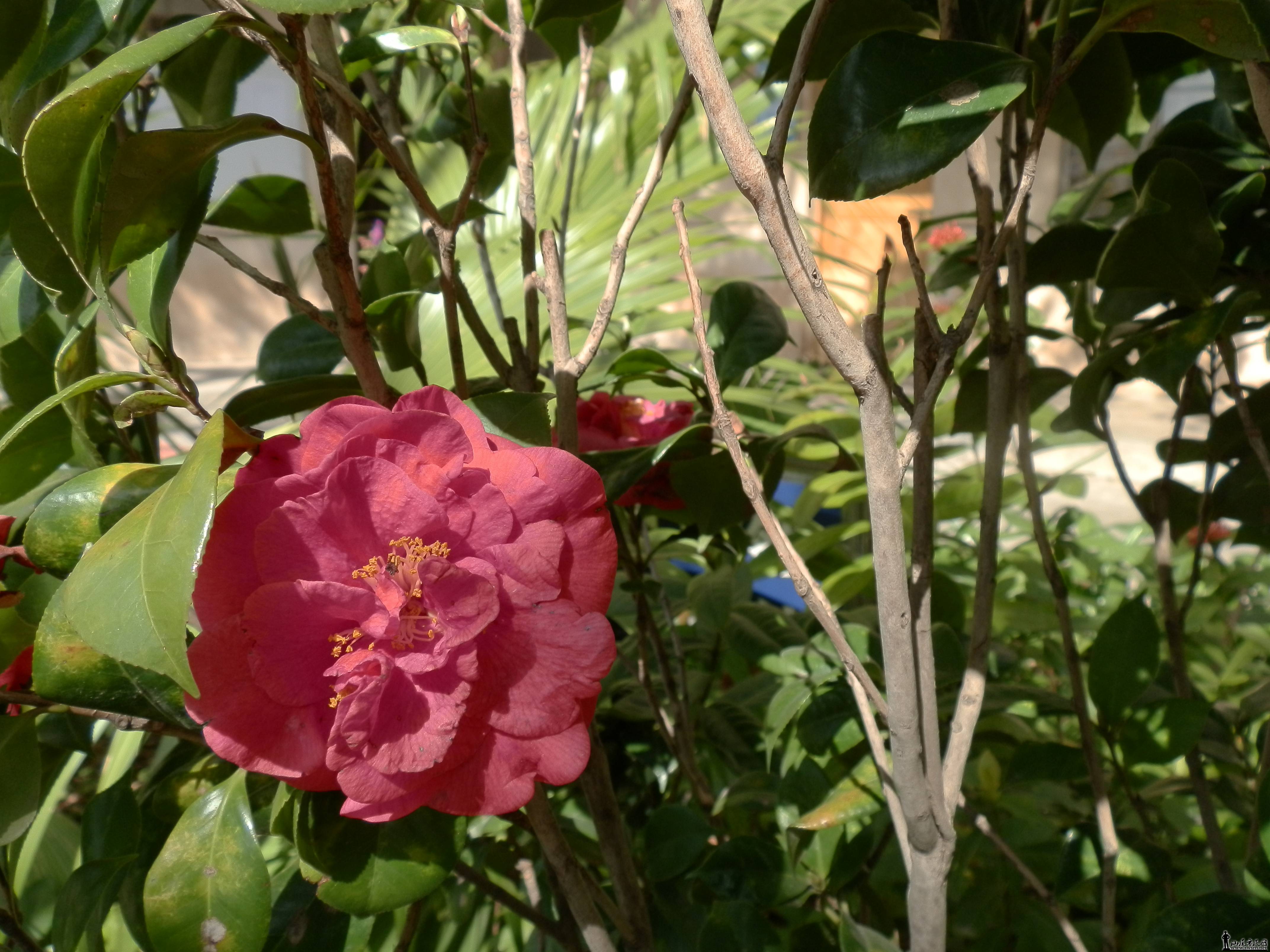 P2200009.JPG