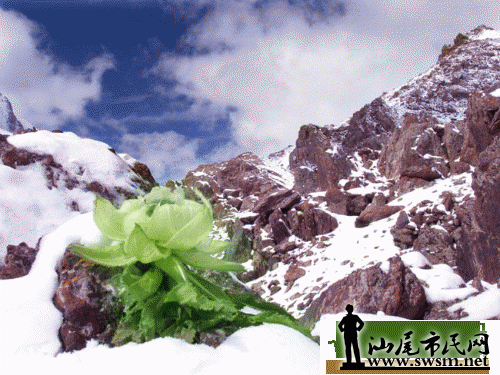 20100912114534352.gif