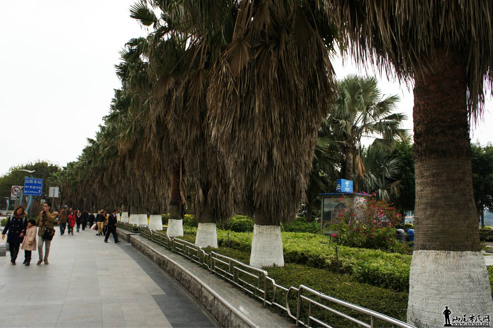 psb(8).jpg