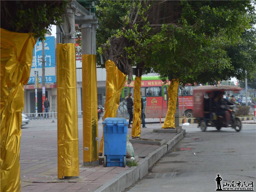 DSC_0037.jpg