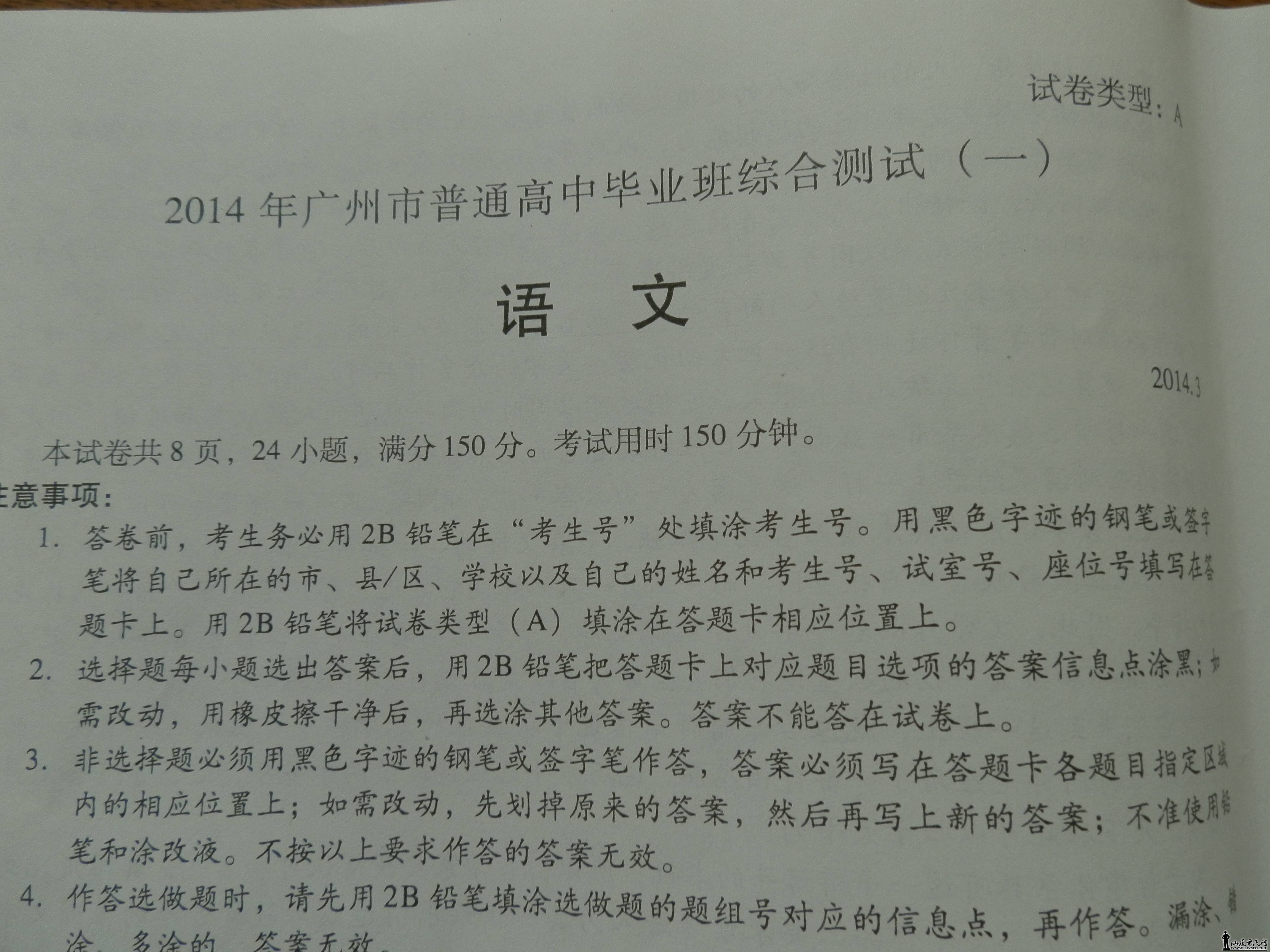 P3130002.JPG