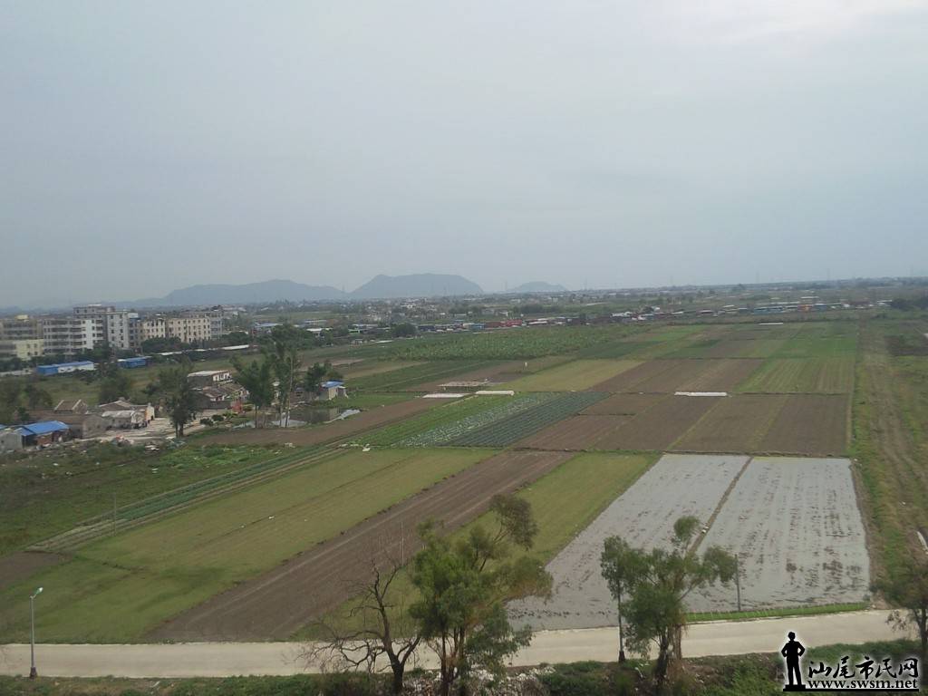 Ƭ8607.jpg