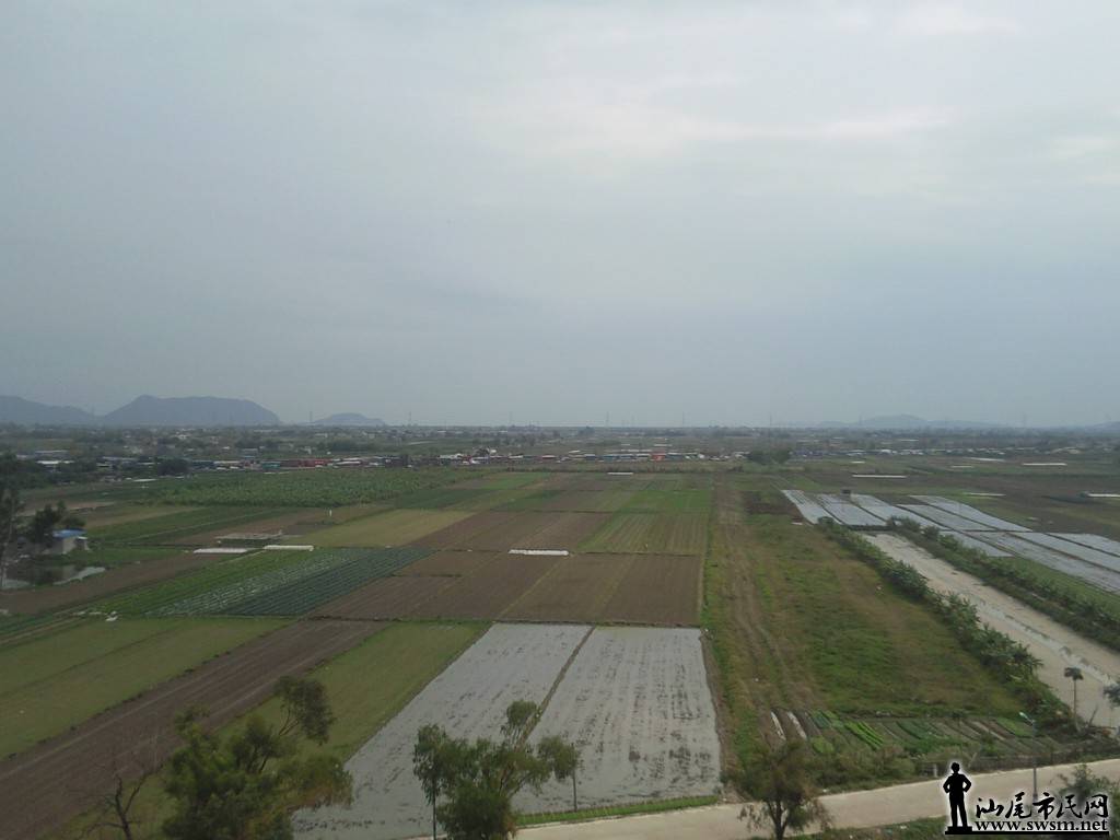 Ƭ8608.jpg