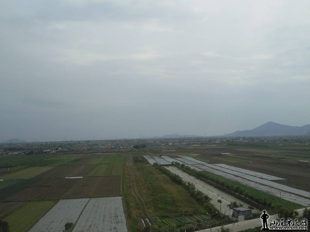 Ƭ8609.jpg
