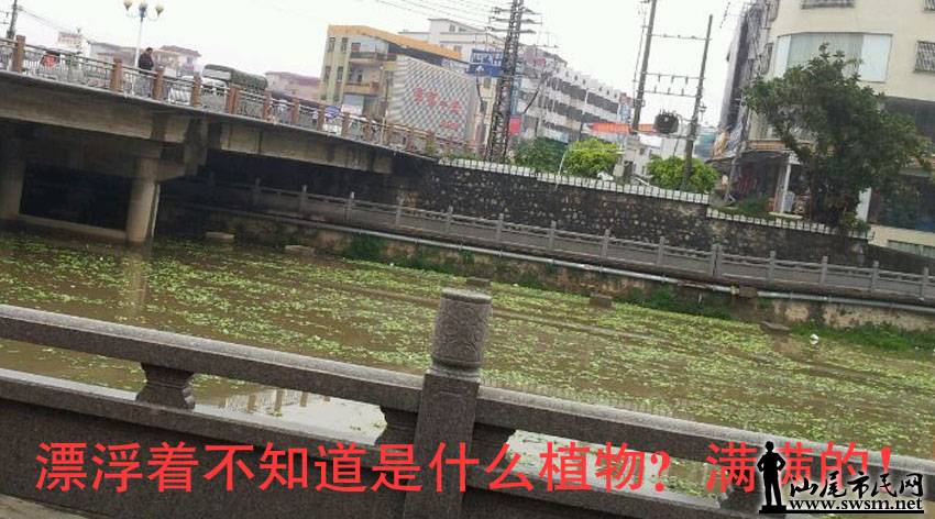 QQͼƬ20140331224952.jpg