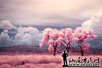 羰.jpg
