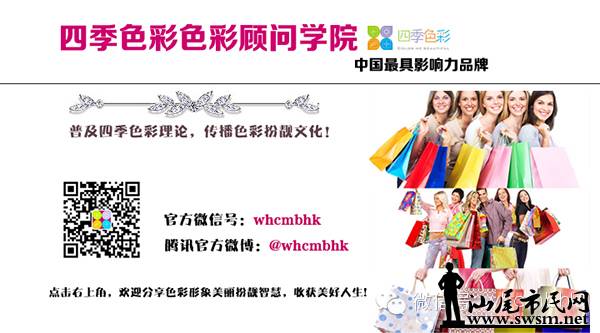 色彩顾问收入(2)