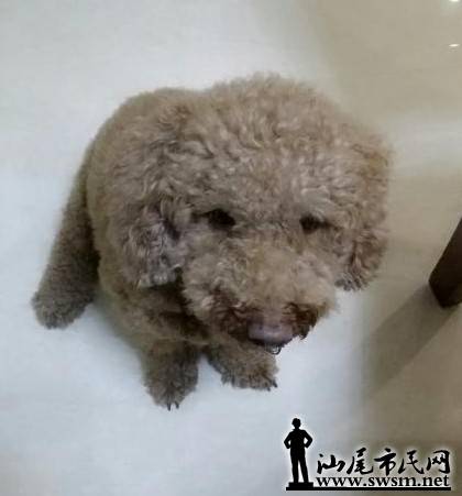 QQͼƬ20140424121020.jpg