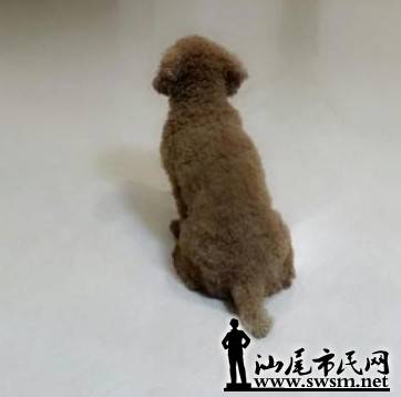 QQͼƬ20140424121036.jpg