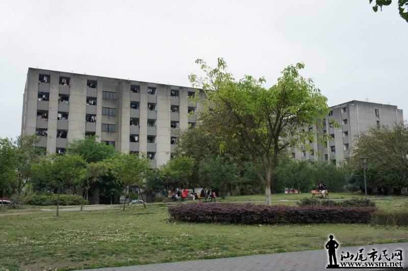 psb(9).jpg