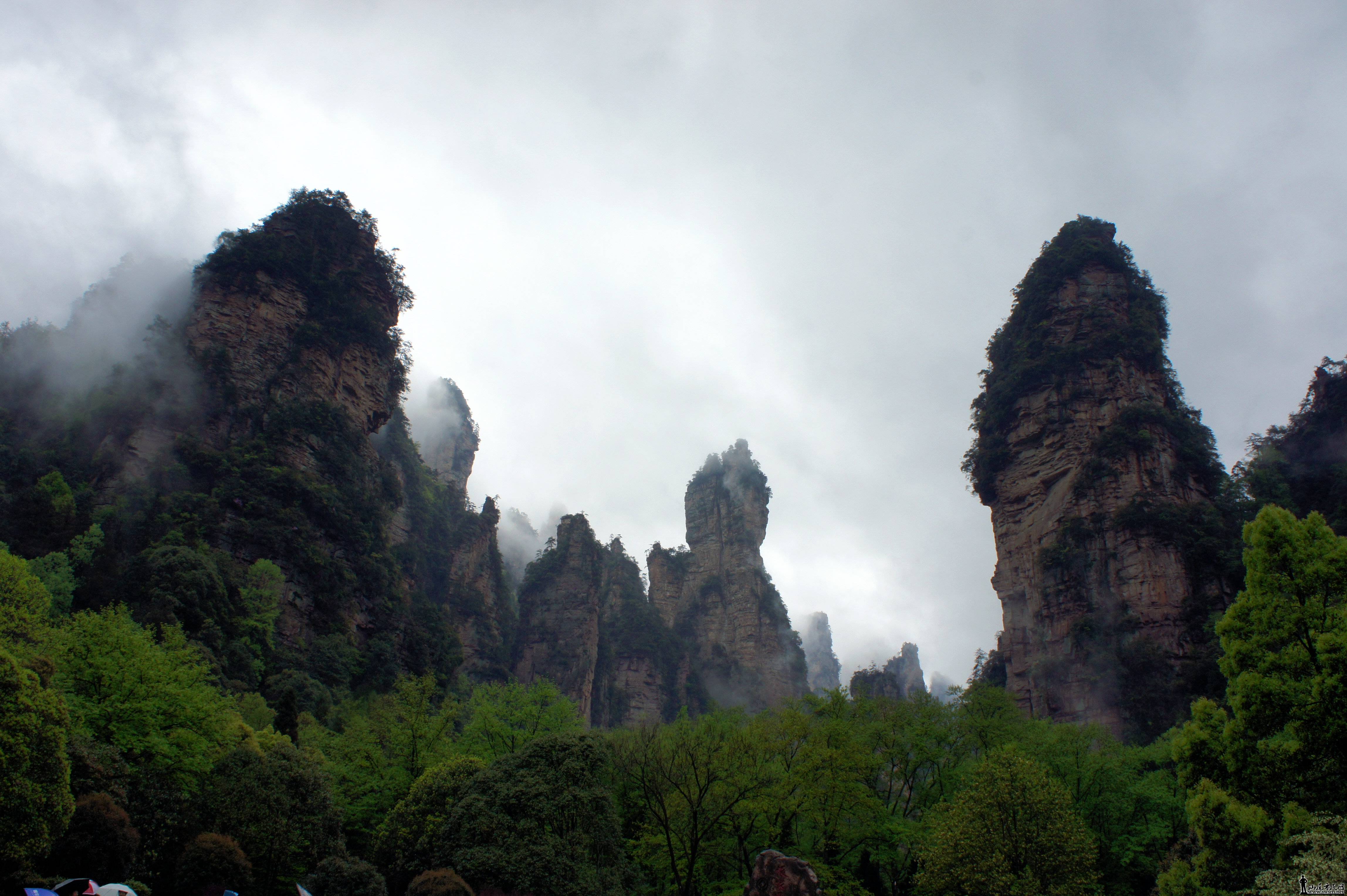 DSC04577.JPG