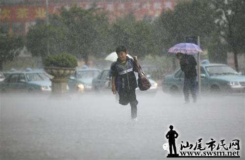 汕尾市民网-没有伞的孩子会努力奔跑,写得真好,值得分享!-生活聊天吧