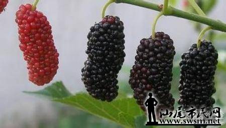 093057othgyhwsxy9nmxxi.jpg