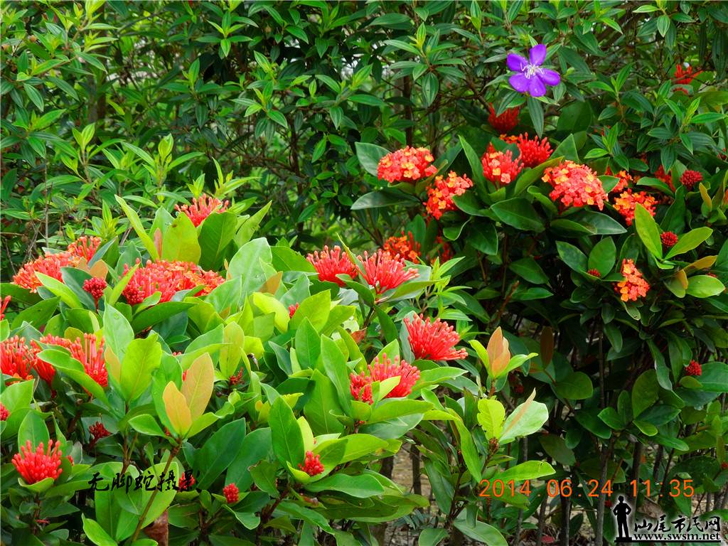 DSCN3035.JPG