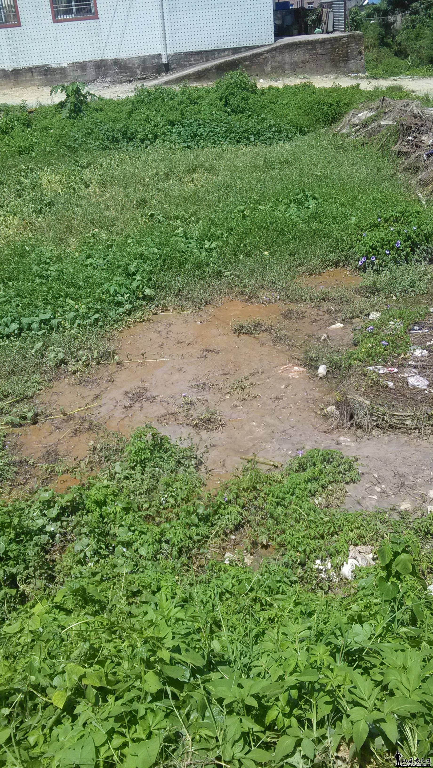 IMG_20140728_135850.jpg
