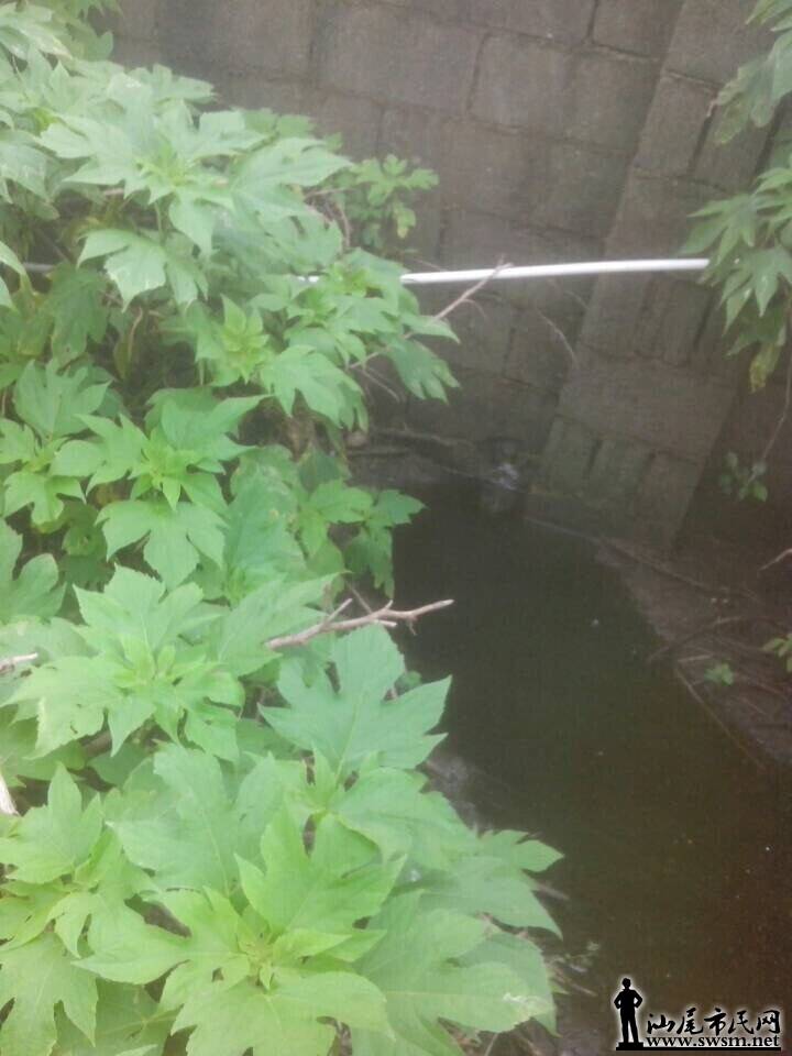 QQͼƬ20140815150226.jpg