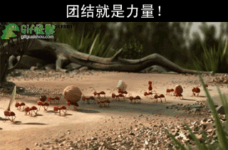 t019cadc93788a3075b.gif