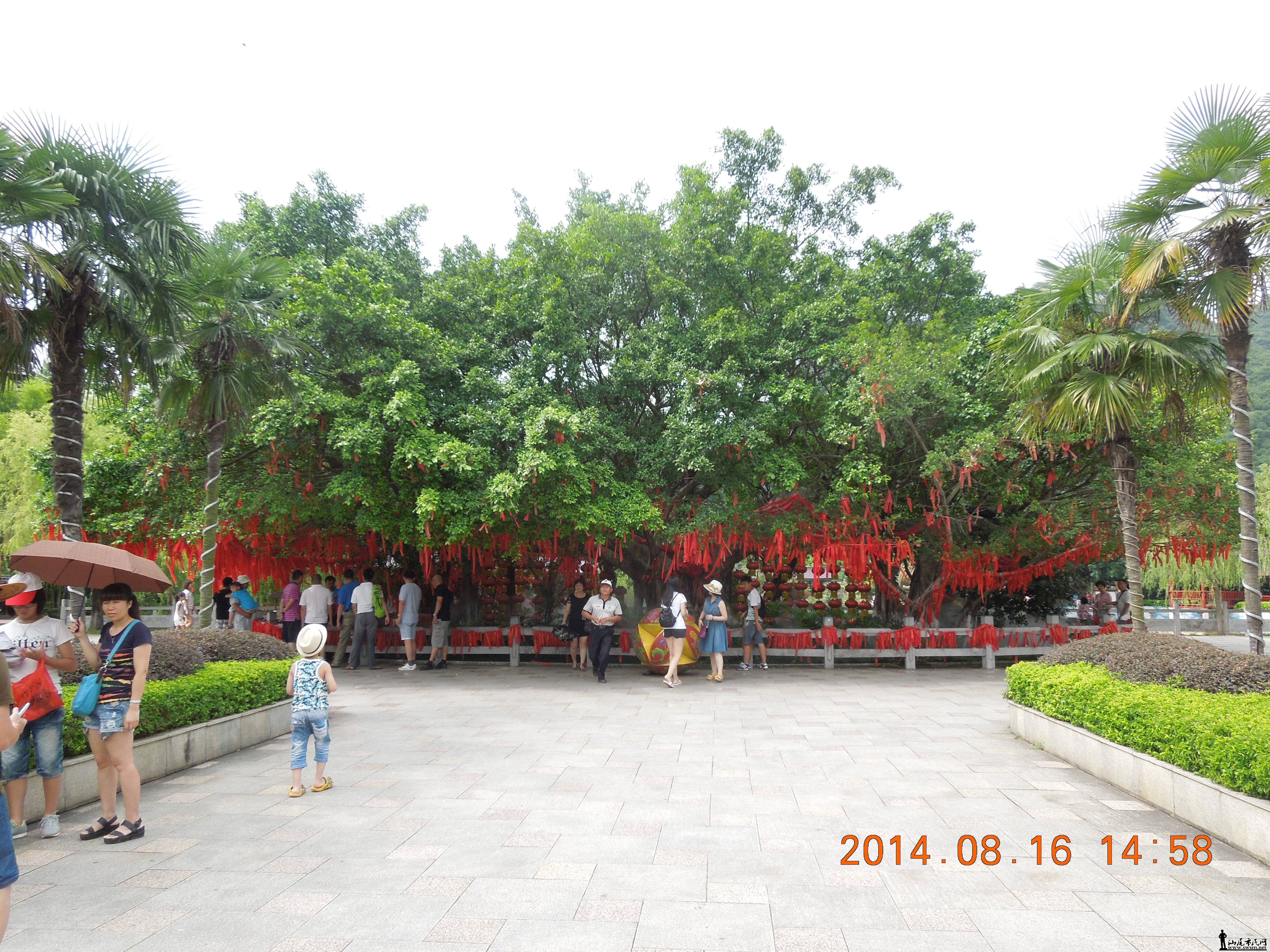 DSCN4664.JPG