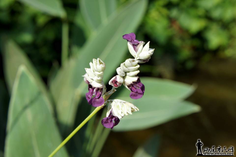 DSC05123.JPG