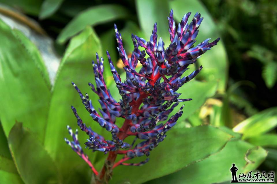 DSC05125.JPG