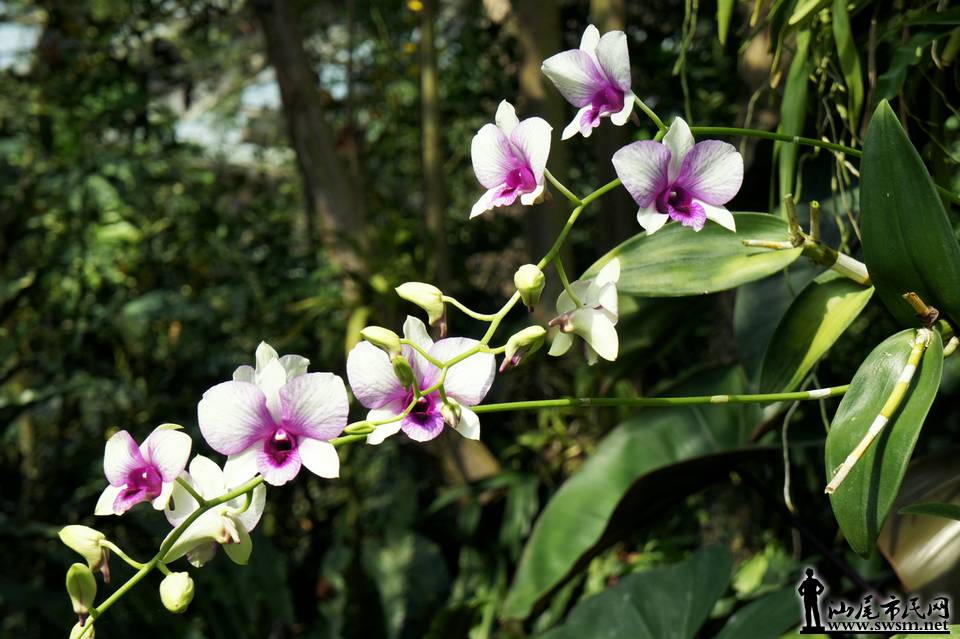 DSC05126.JPG