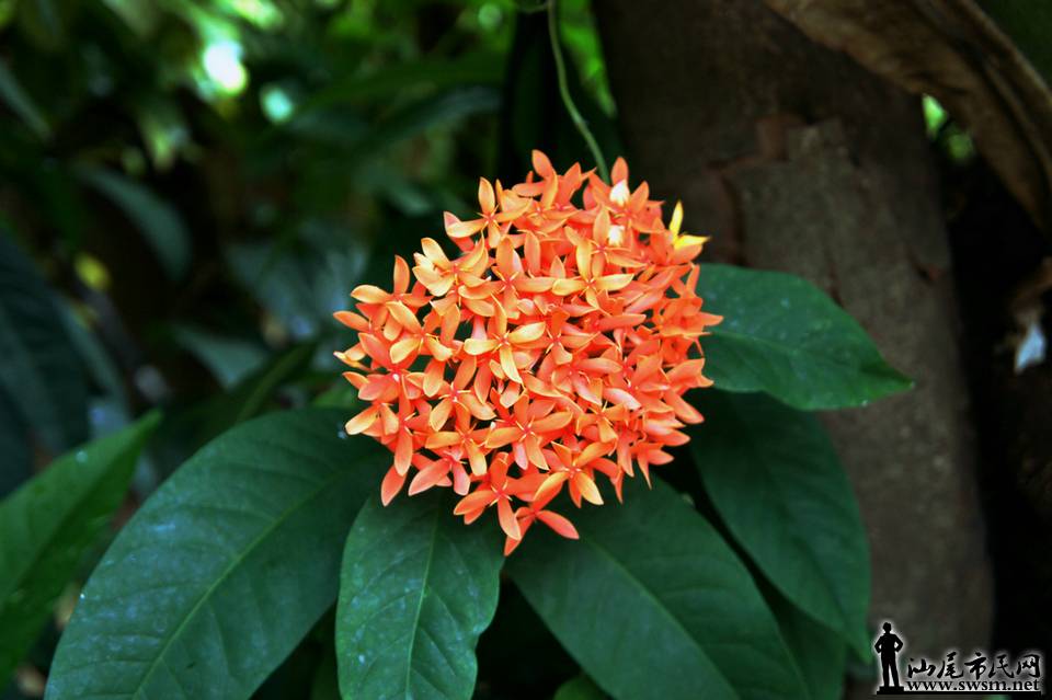 DSC05130.JPG