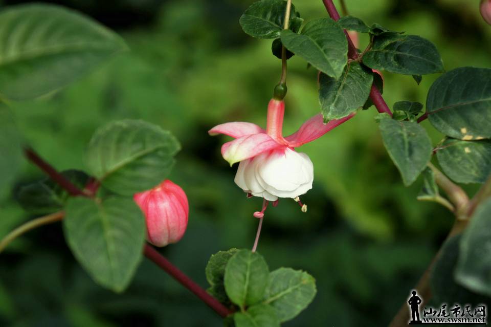 DSC05139.JPG