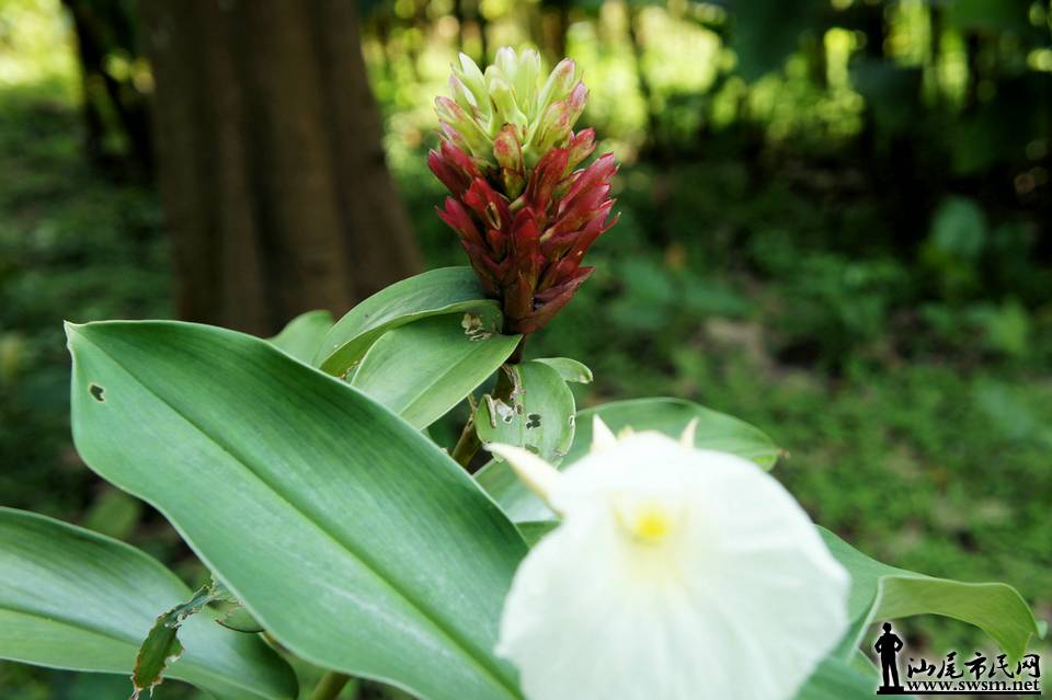 DSC05159.JPG