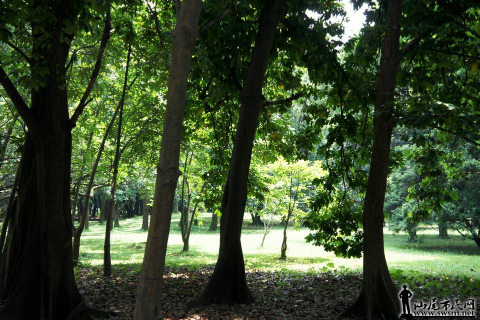 DSC05164.JPG