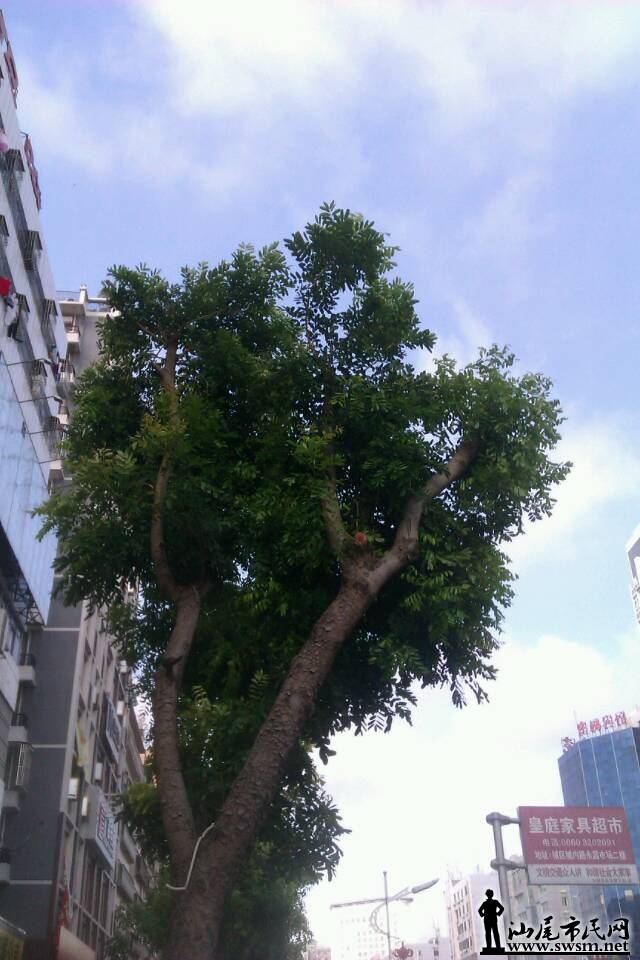 QQͼƬ20140806122918.jpg