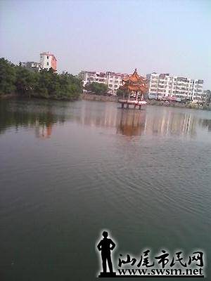 IMG_20141015_103918.jpg