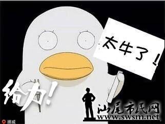 QQͼƬ20141030090844.jpg