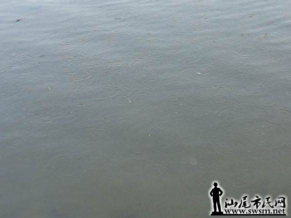 2f559e2f070828386e13777dbb99a9014c08f163.jpg
