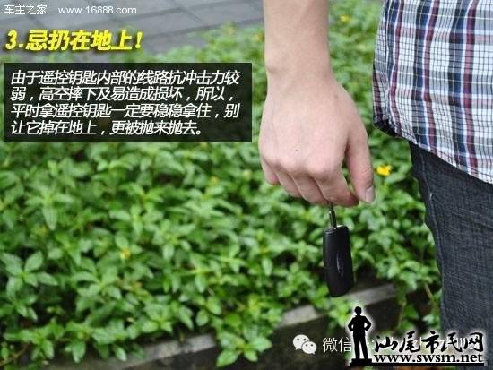 0340304Wc.jpg
