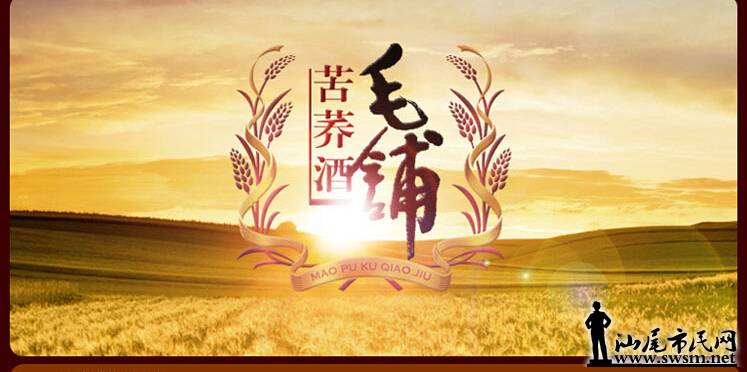 民网-巧酌怡情,错饮伤身--毛铺倡导健康饮酒新