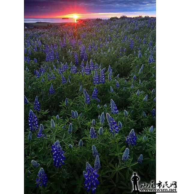 汕尾市民网-放下手中的工作,带上你最重要的人