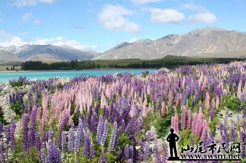 汕尾市民网-放下手中的工作,带上你最重要的人