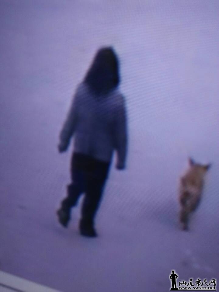 ʧʱļػ